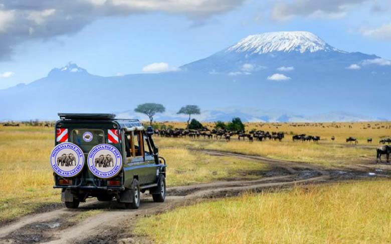 nairobi safaris - Sun Nature Tours and Safaris