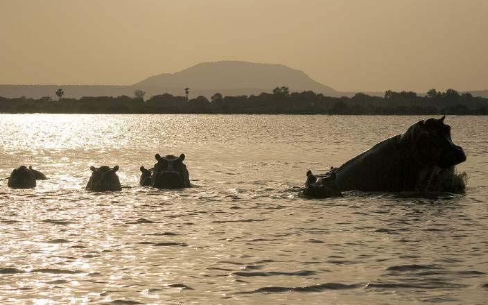 nairobi safaris - Sun Nature Tours and Safaris