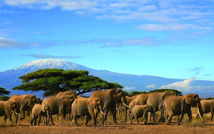 Amboseli National Park