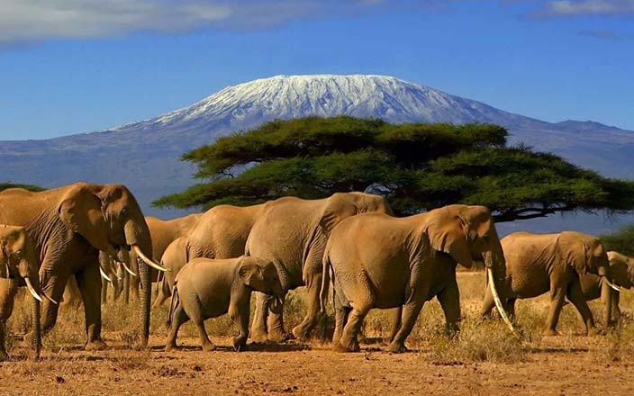 nairobi safaris - Sun Nature Tours and Safaris