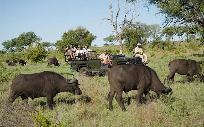 Sun Nature Tours and Safaris Gallery