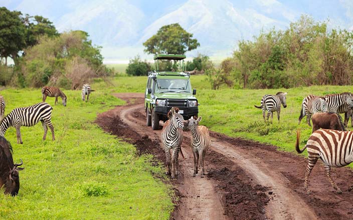 Sun Nature Tours and Safaris Gallery