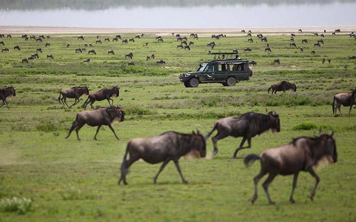 nairobi safaris - Sun Nature Tours and Safaris